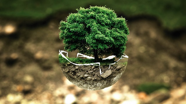 Svjetski dan okoliša – stručnim skupom do odgovora na ključna pitanja