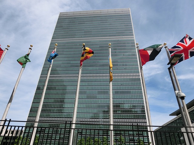 Jačanje uloge nacionalnih institucija za ljudska prava u tijelima UN-a