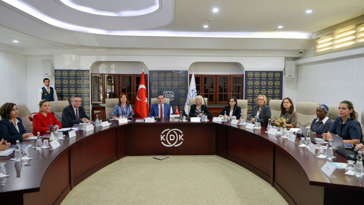 Procjena institucionalnih kapaciteta turske nacionalne institucije za zaštitu ljudskih prava
