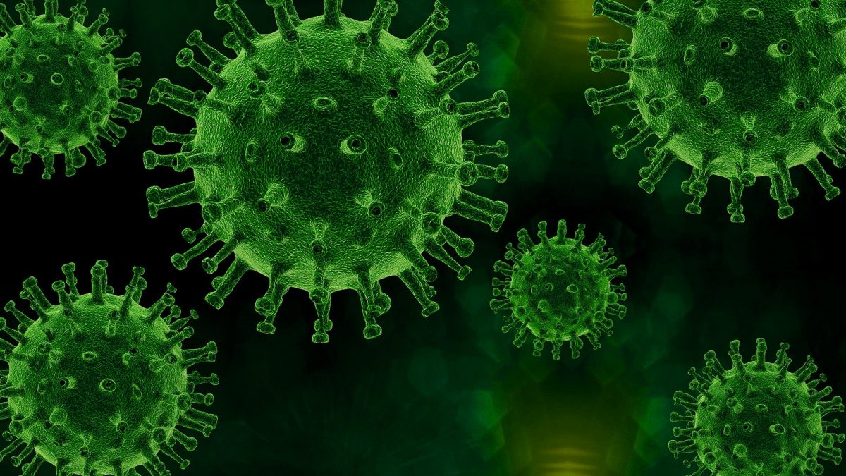 Epidemija koronavirusa – odgovornost nema alternative